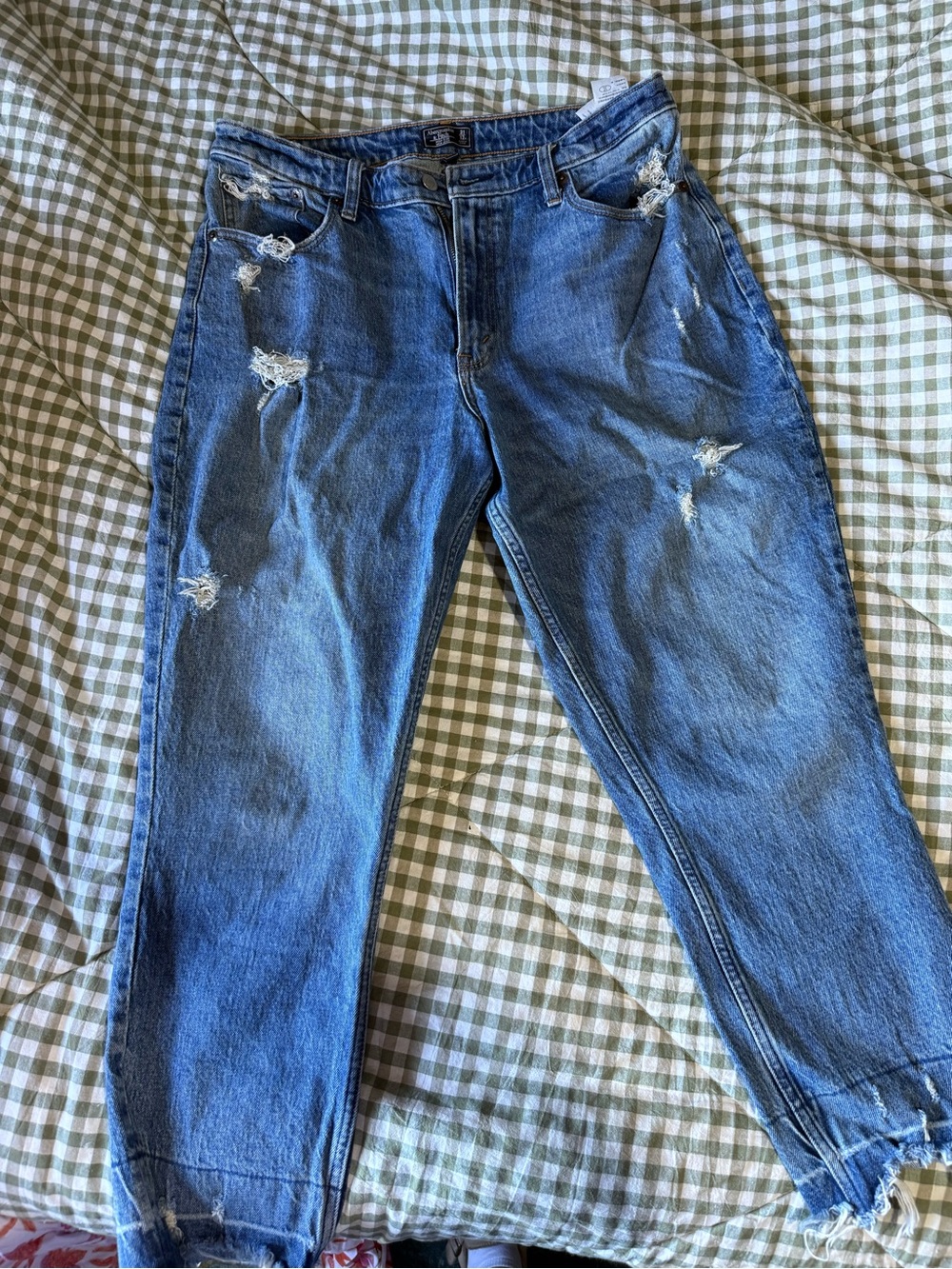 Women’s Curve Love Distressed Blue Jeans